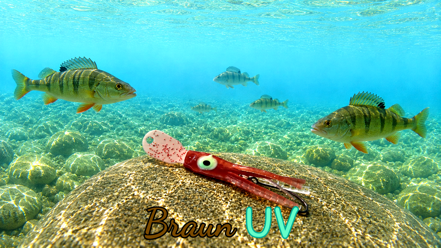 OGI 3,5 cm (lackiert) - weiß lackiert Braun UV