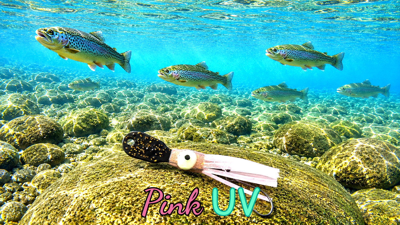 OGI 3,5 cm (lackiert) - schwarz lackiert Pink UV