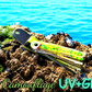 Oktopus Leaf 3,6 cm (lackiert) - schwarz lackiert Green Camouflage UV+GLOW
