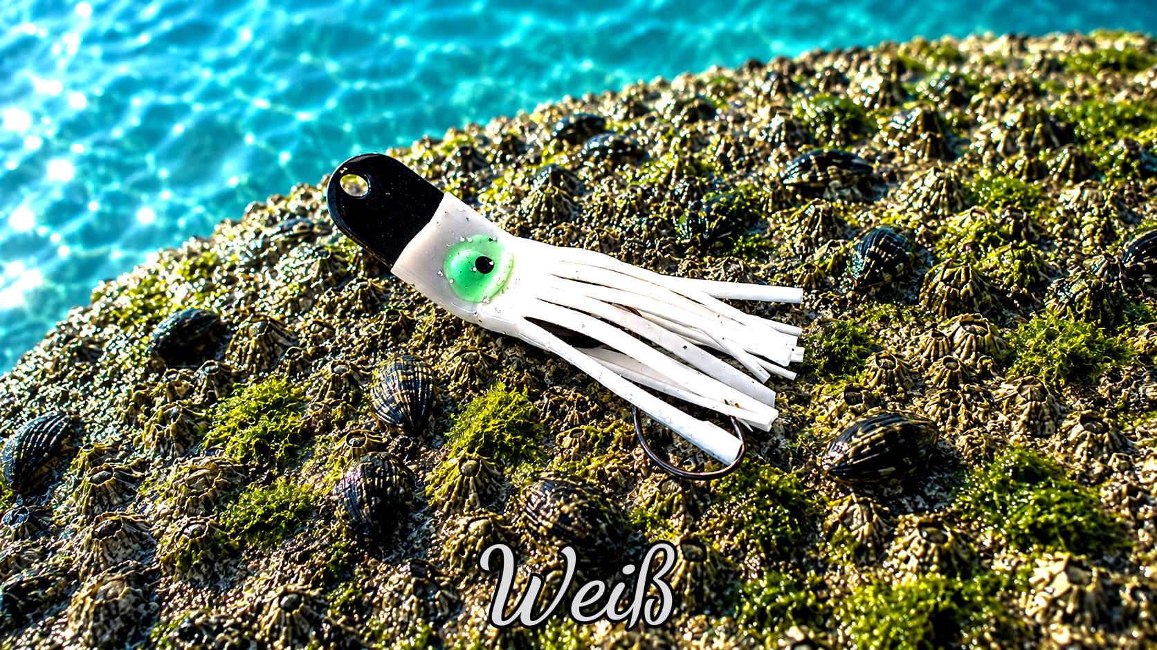 Oktopus Leaf 3,6 cm (lackiert) - schwarz lackiert Weiß