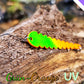 Trout Saw Gruen-Orange UV