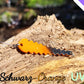 Trout-Saw Schwarz-Orange UV