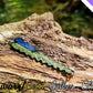 Trout Saw 3,0 cm Schwarz/Gold-Silber-Glitter